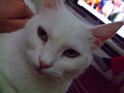 DSCF7208