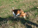 DSCF7280