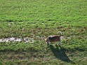 DSCF7287
