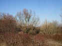 DSCF7289