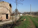 DSCF7299