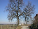 DSCF7307