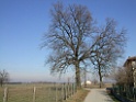 DSCF7308