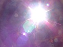 DSCF2967
