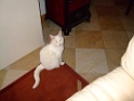 DSCF7903