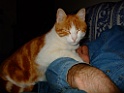 DSCF8088