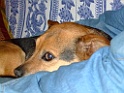 DSCF8093