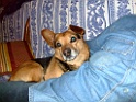 DSCF8094