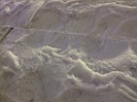 DSCF8169
