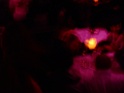 DSCF8256