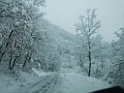 DSCF8457