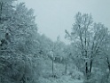 DSCF8458