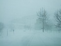 DSCF8459