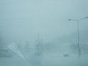 DSCF8460
