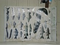 DSCN1764
