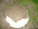 DSCF9479