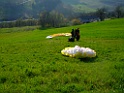 DSCF9593
