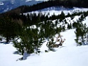 DSCF9651