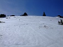 DSCF9684