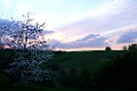 DSCF0039