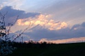 DSCF0041