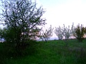 DSCF0045