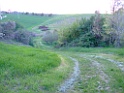 DSCF0046