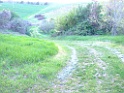 DSCF0047