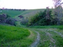 DSCF0048