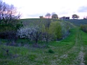 DSCF0063