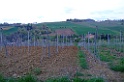 DSCF0073