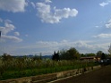 DSCF9969