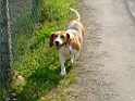DSCF9972