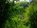 DSCF9975