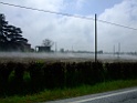 DSCF0149