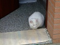 DSCF0204