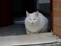 DSCF0205