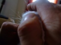 DSCF0216