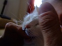 DSCF0217