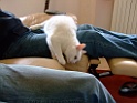 DSCF0218