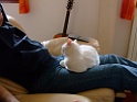 DSCF0220