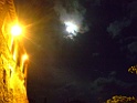 DSCF0437