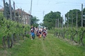 DSC01776