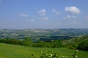 DSCF0967