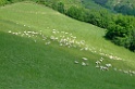 DSCF0979