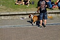 DSCF1083
