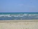 DSCF1144