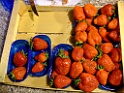 DSCF1181