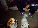 DSCF1223