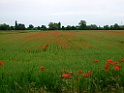 DSCF1207